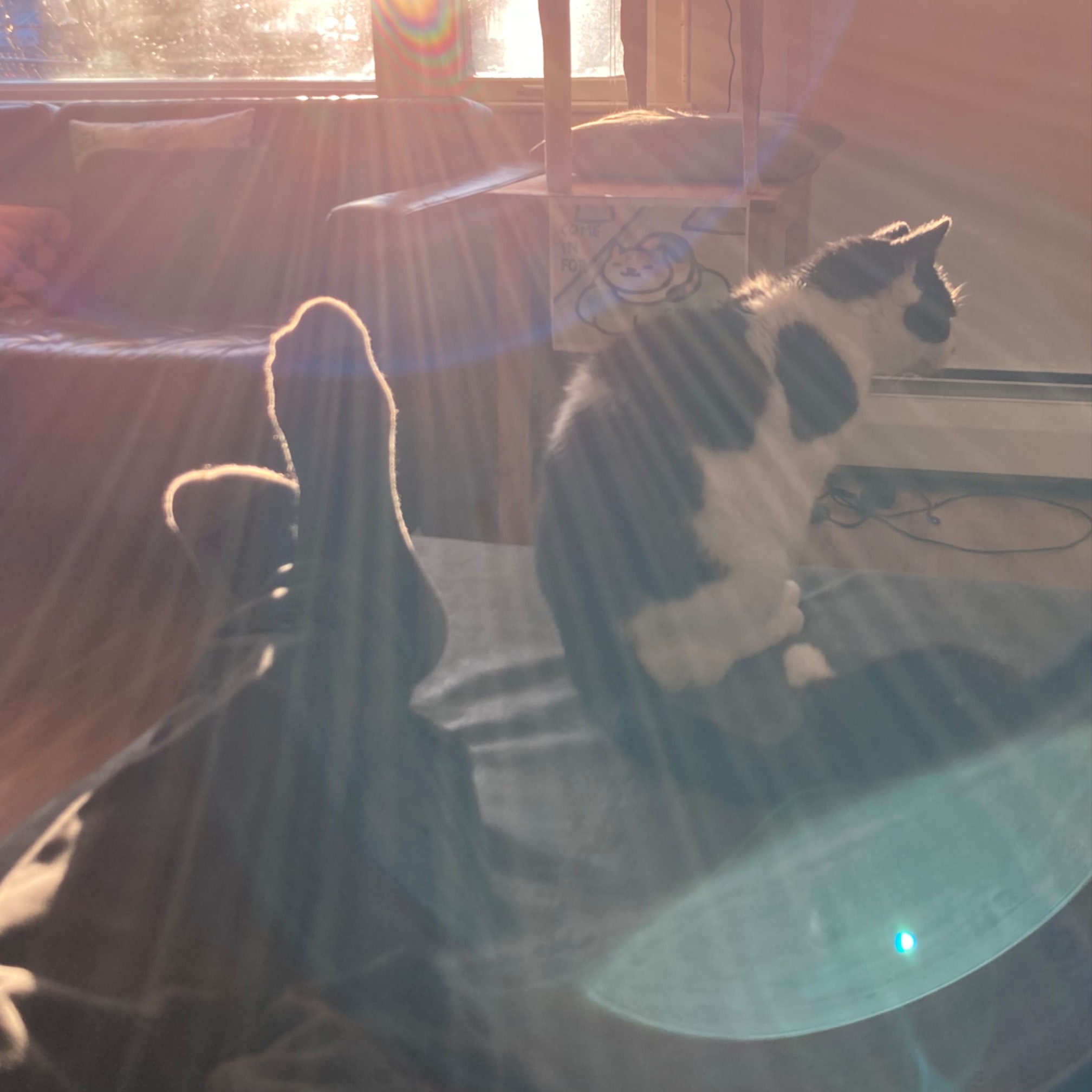 It’s lens flare time!