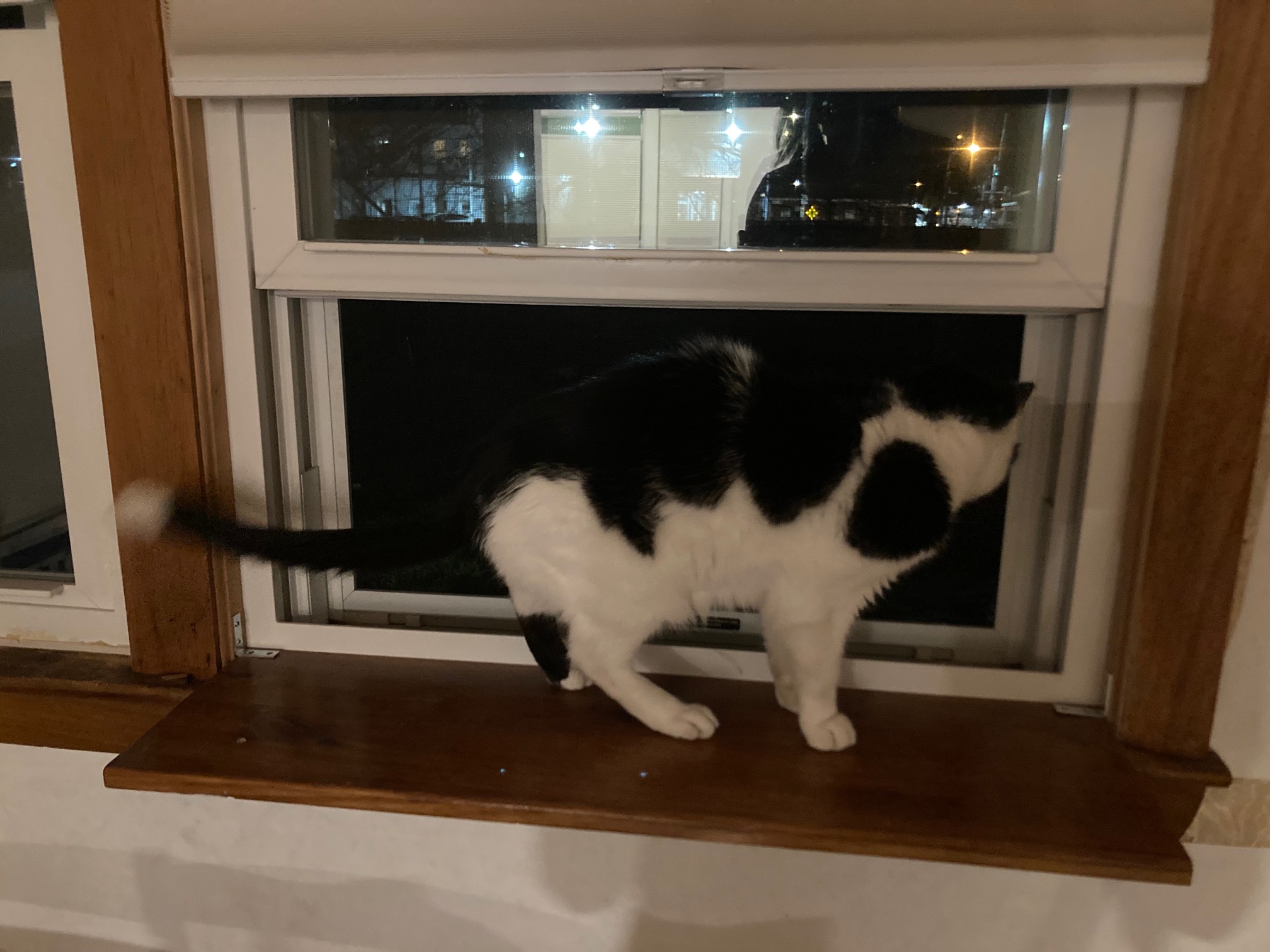 elf extending from window stool