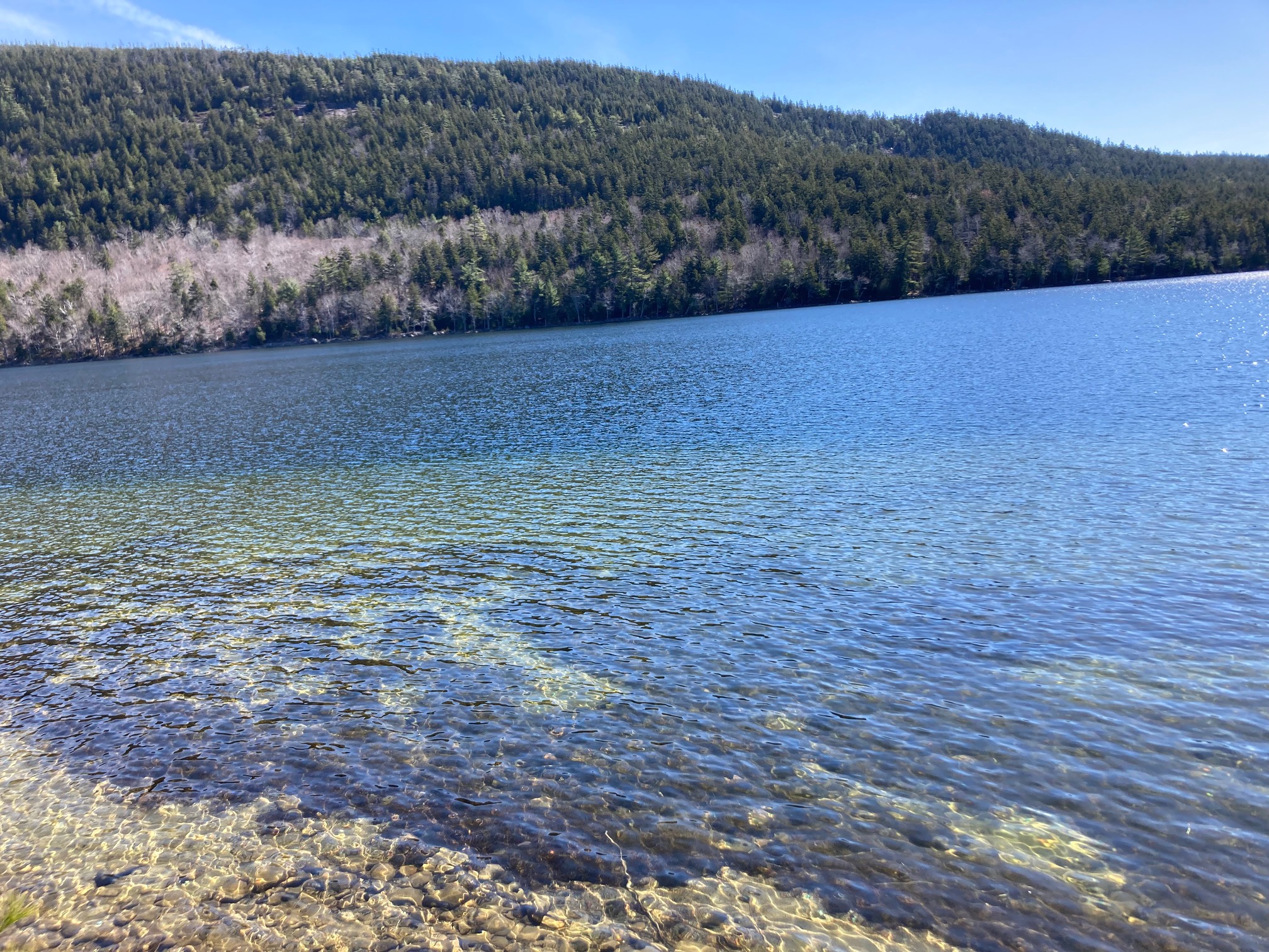 Pond with green and dark brown bottom