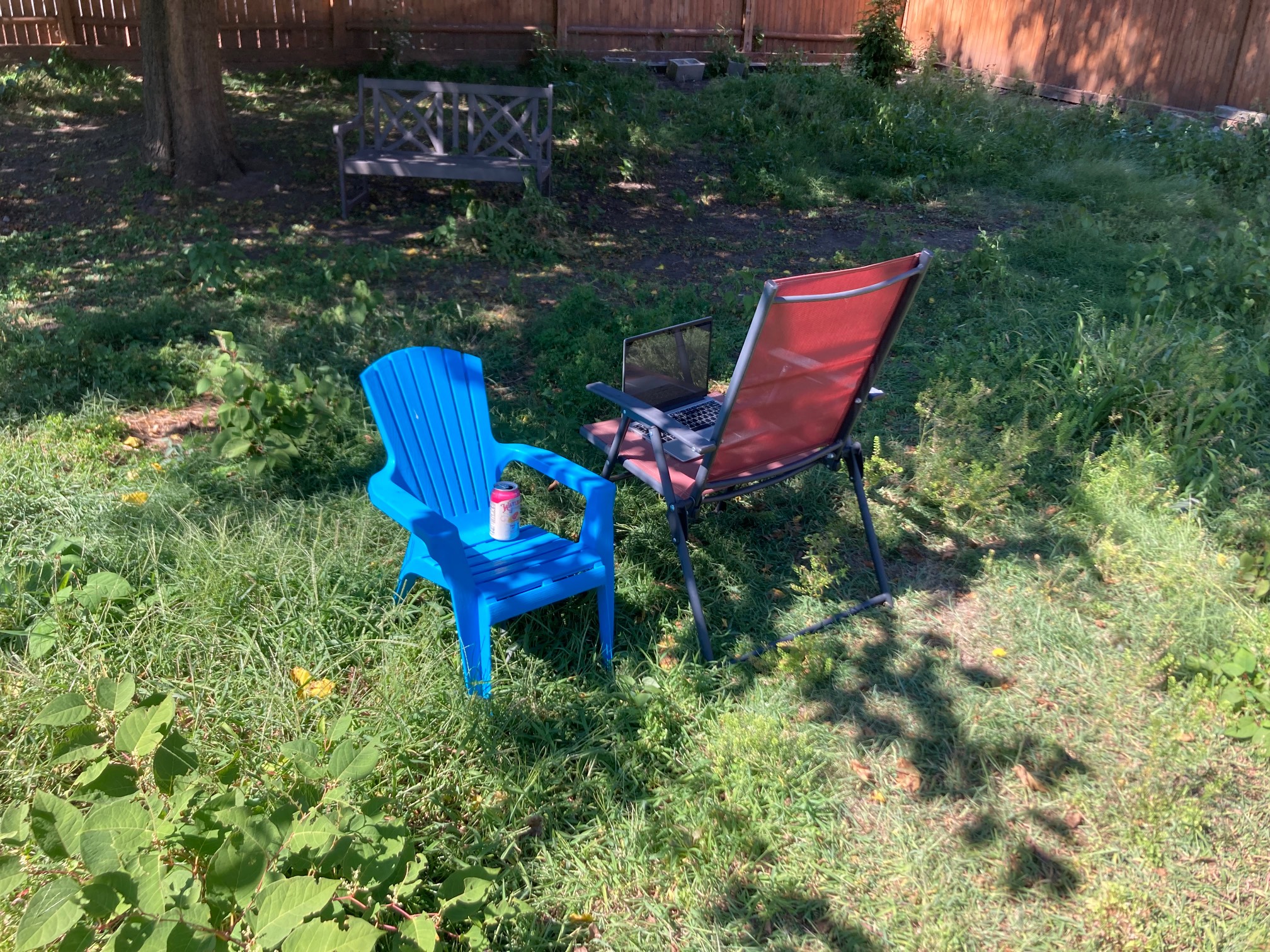 Chair at edge of tree shadow