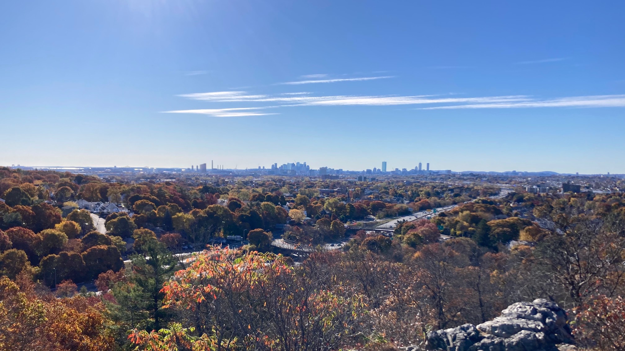 Landscape with trees, a highway, and a city skyline