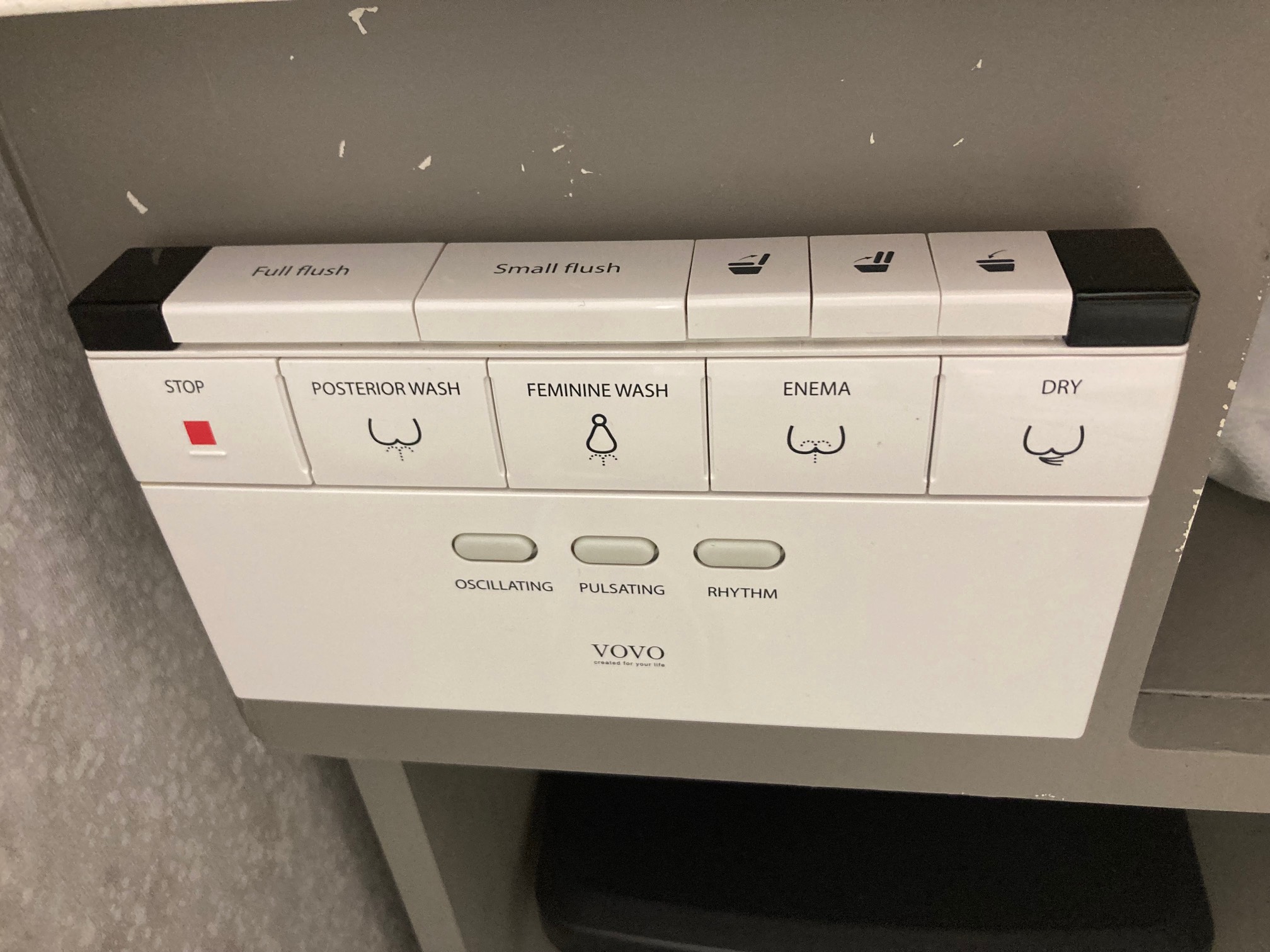 Bidet controls