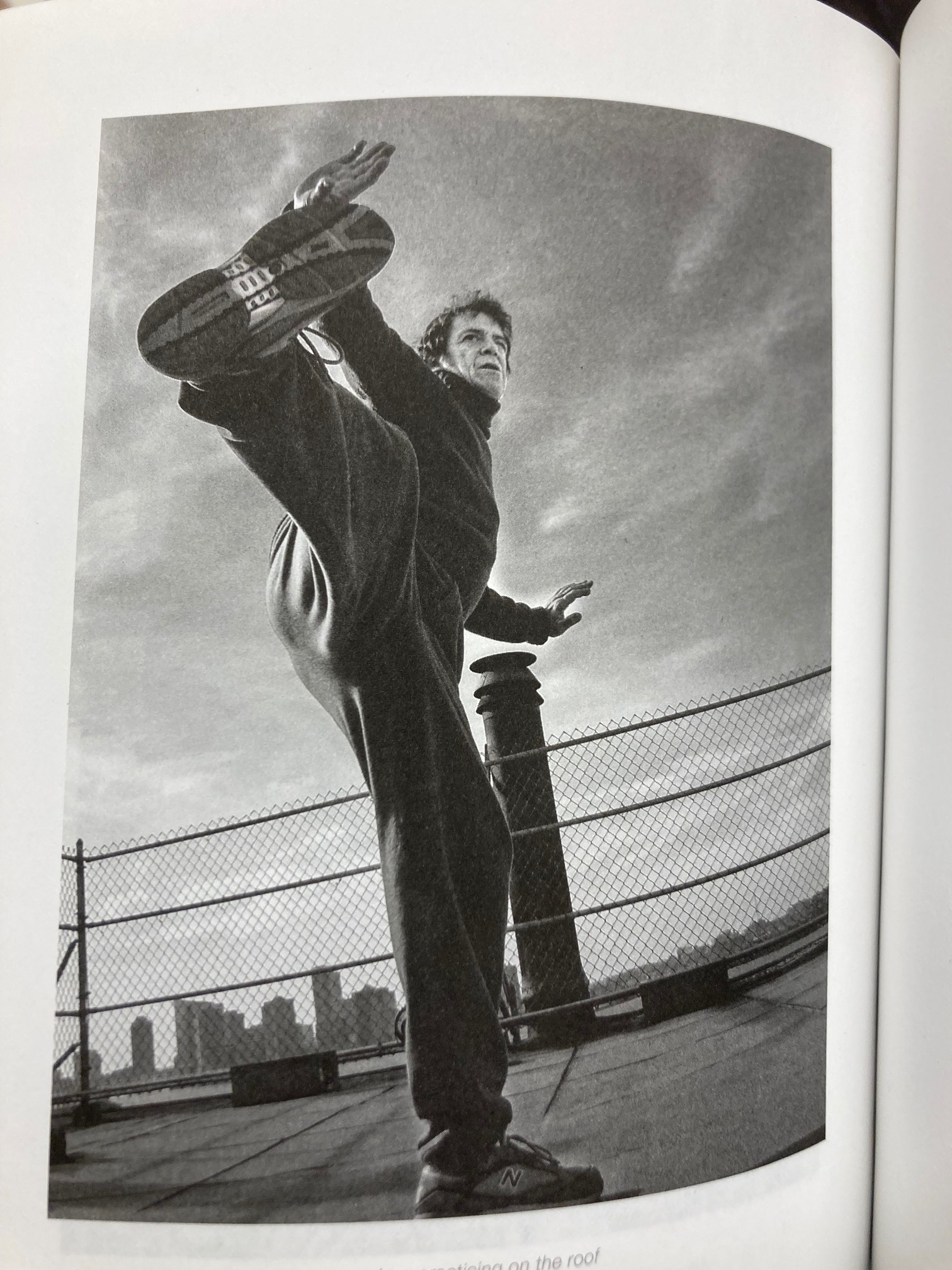 Lou Reed practicing kung fu on the roof