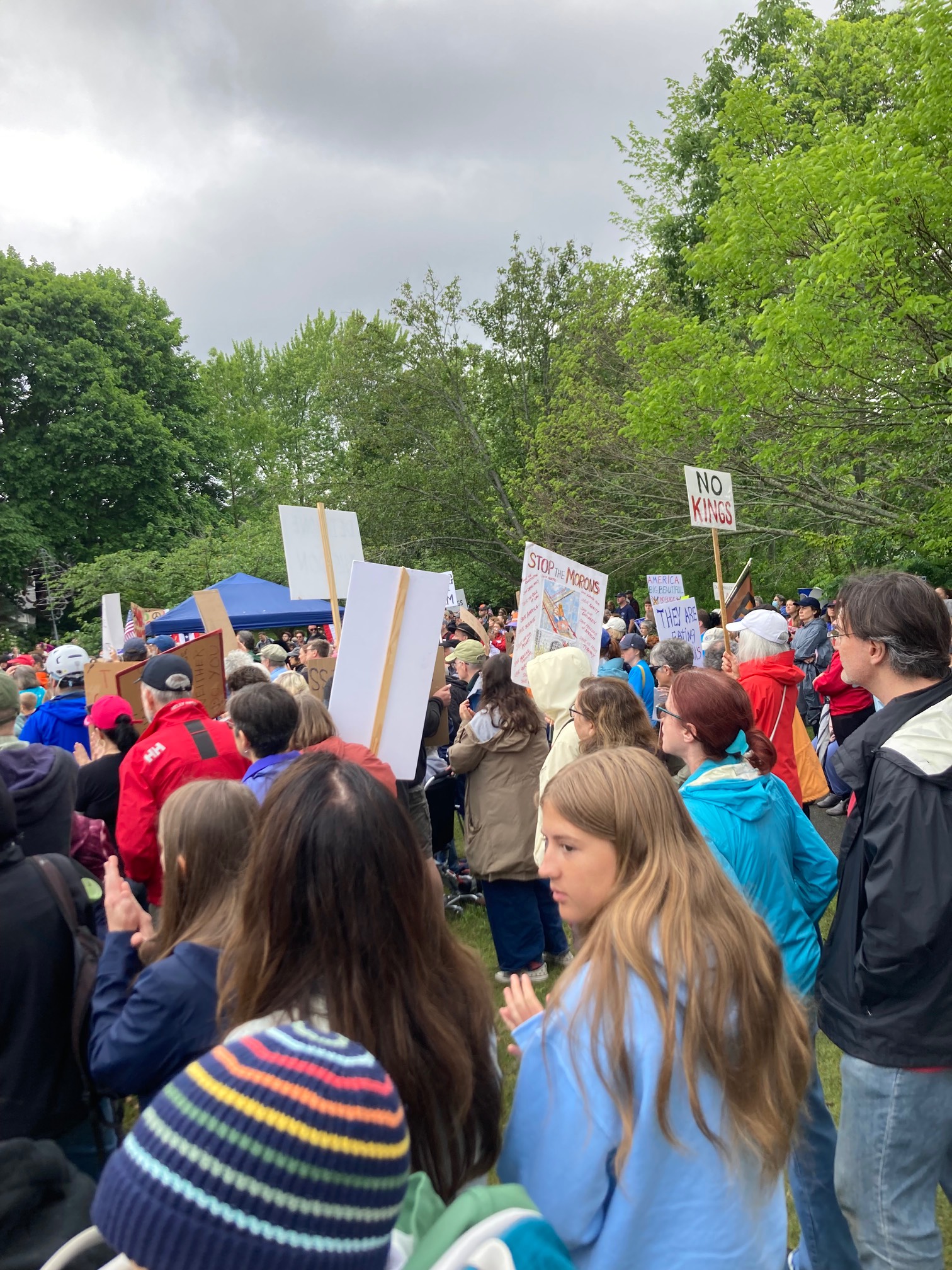 Protestors