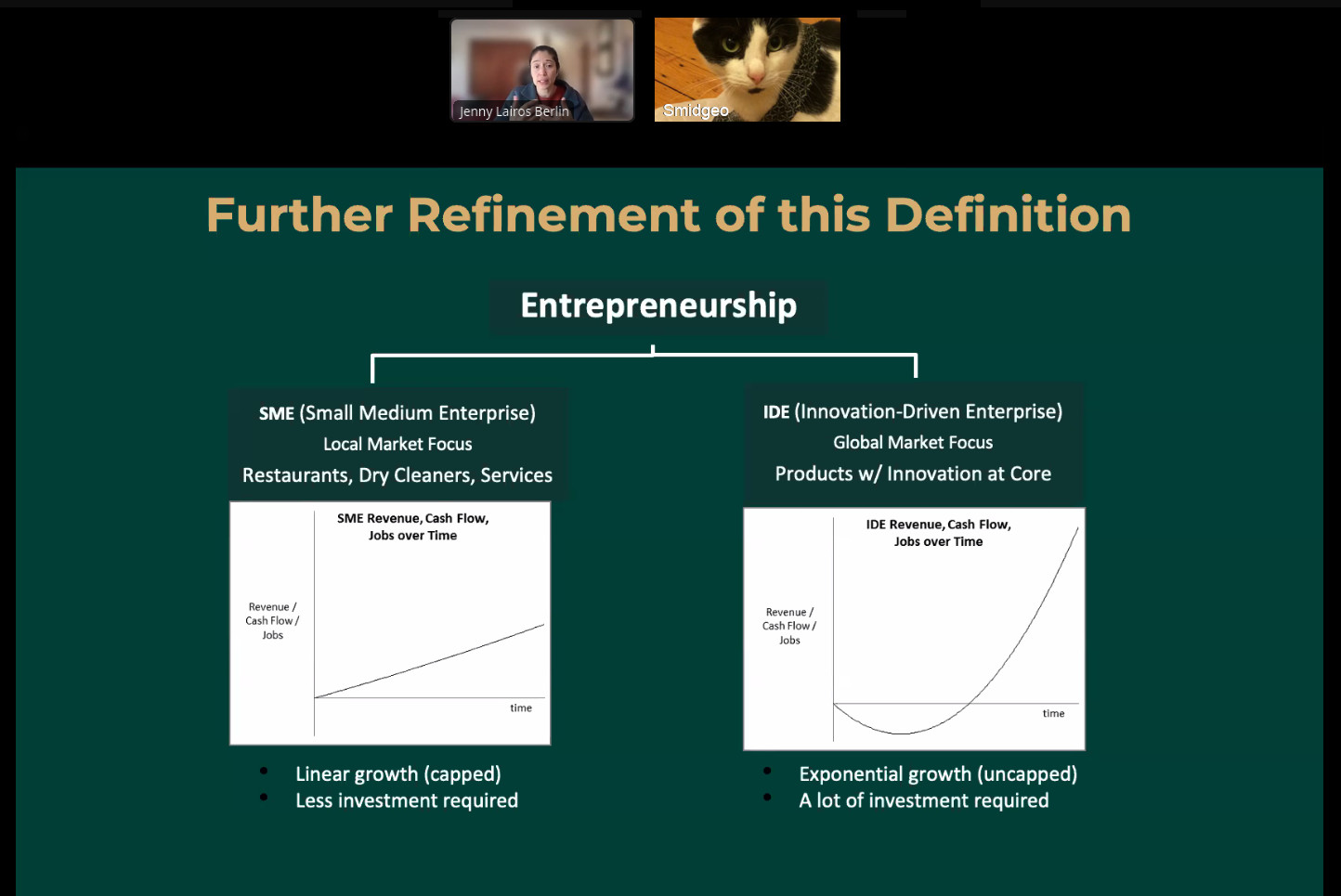 Zoom call with person and Smidgeo with business charts
