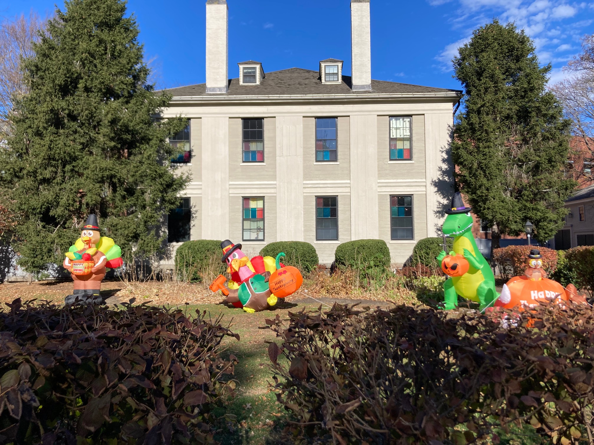 Building with inflatable turkeys and dinosaurs in front