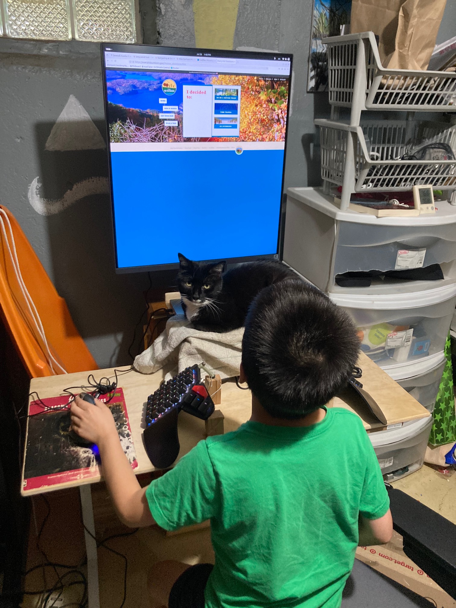 Kid at computer with cat