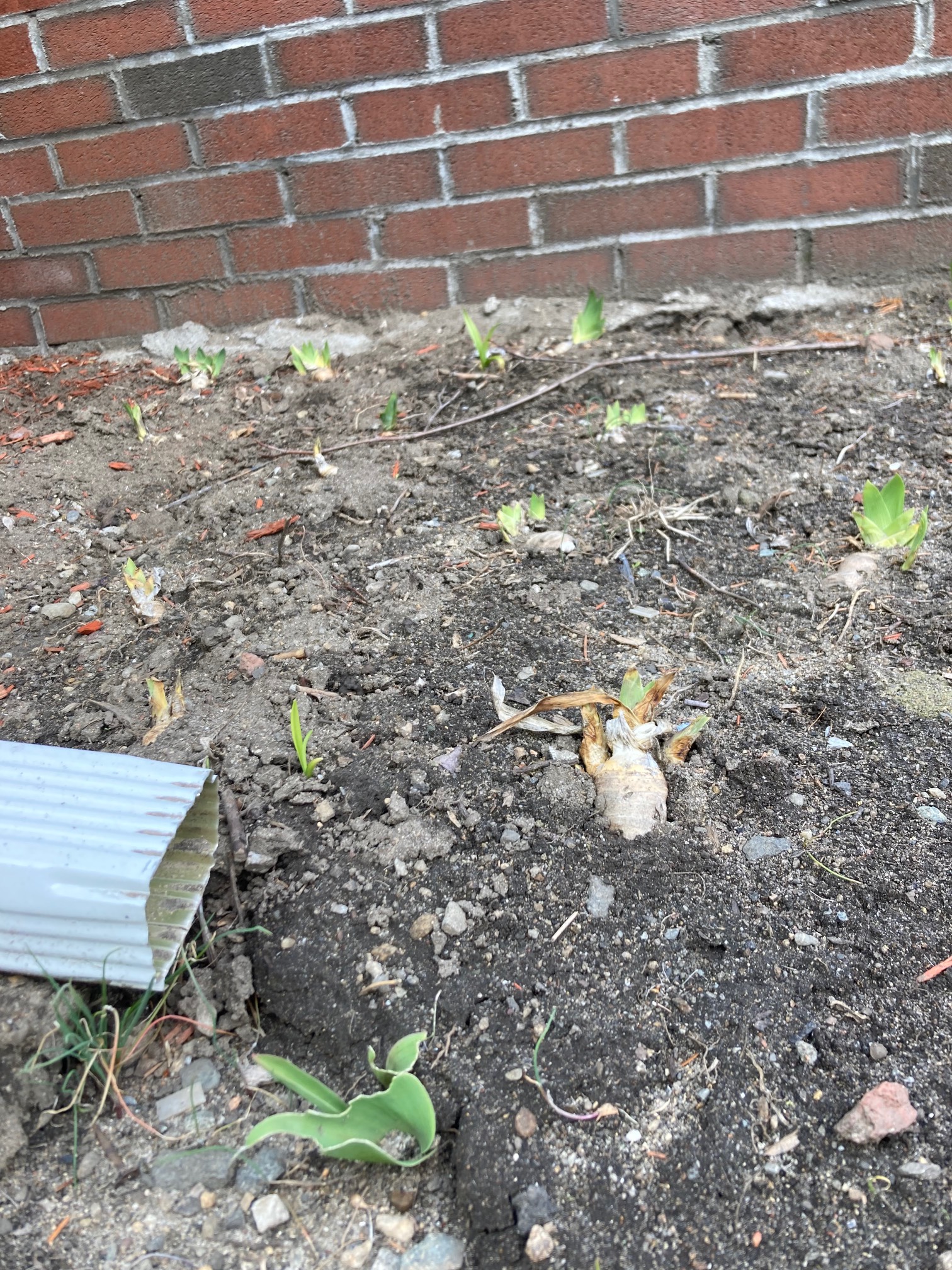 Something that we want to be growing is actually growing!