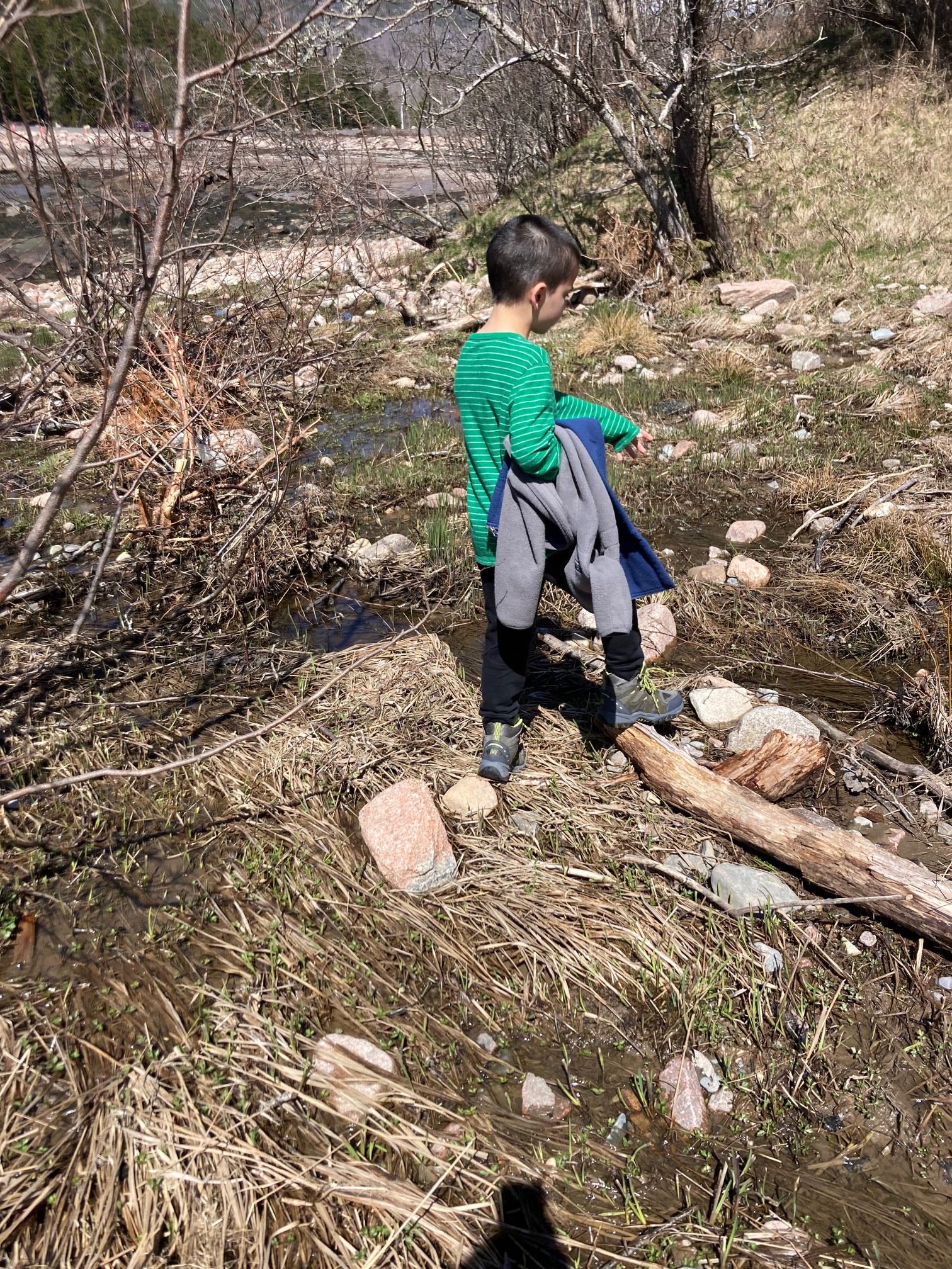 Kid crossing rocks in swamp