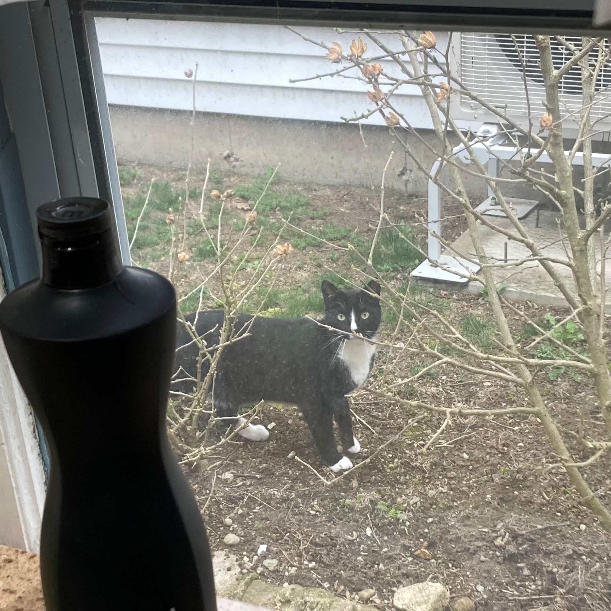 Connecticat