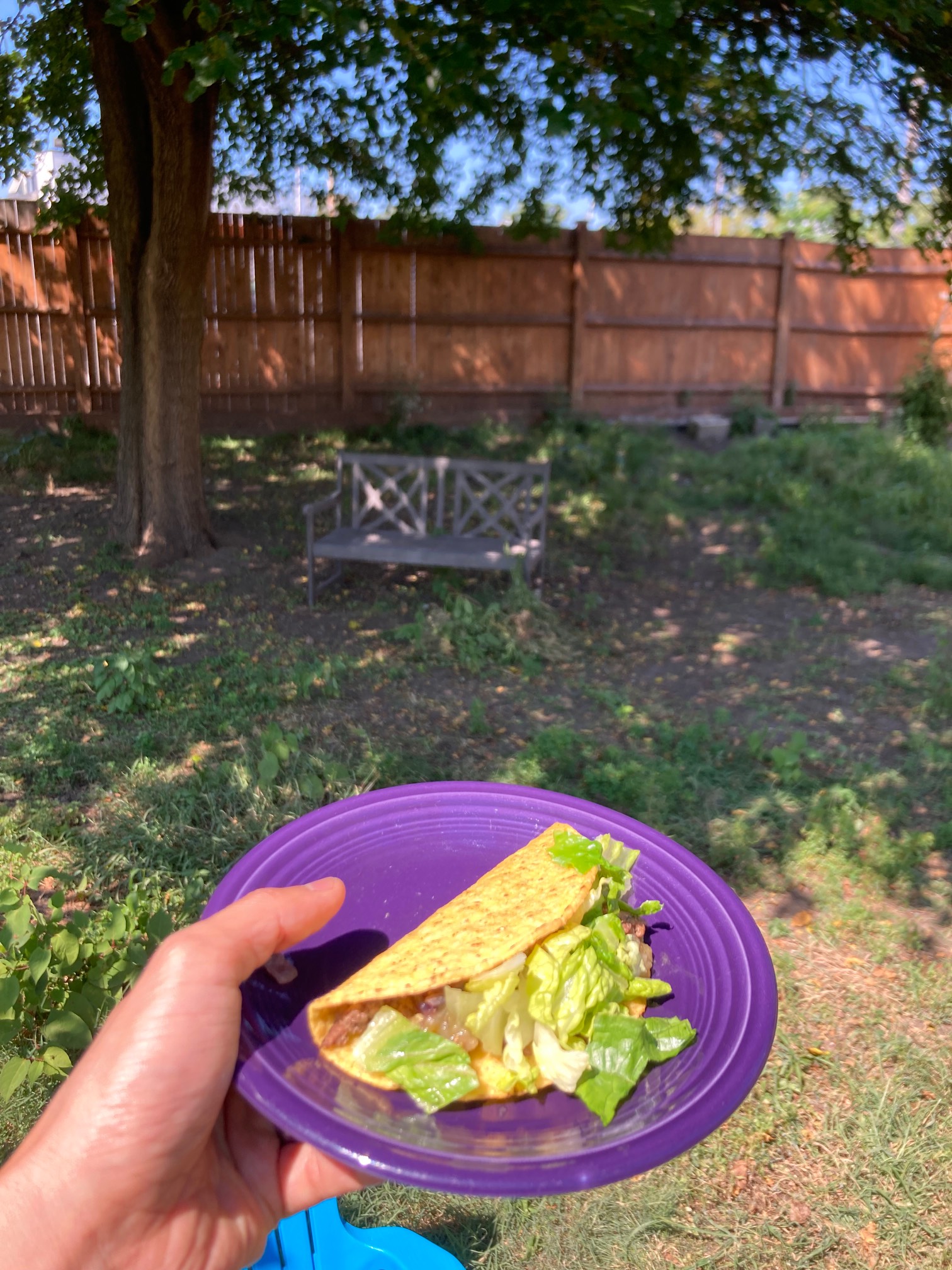 Shiny hand holding taco on plate