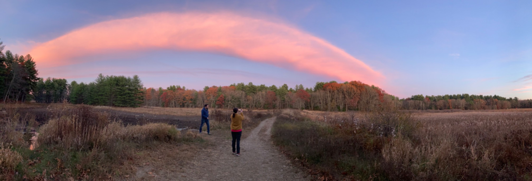 Rainbow shaped pink cloud