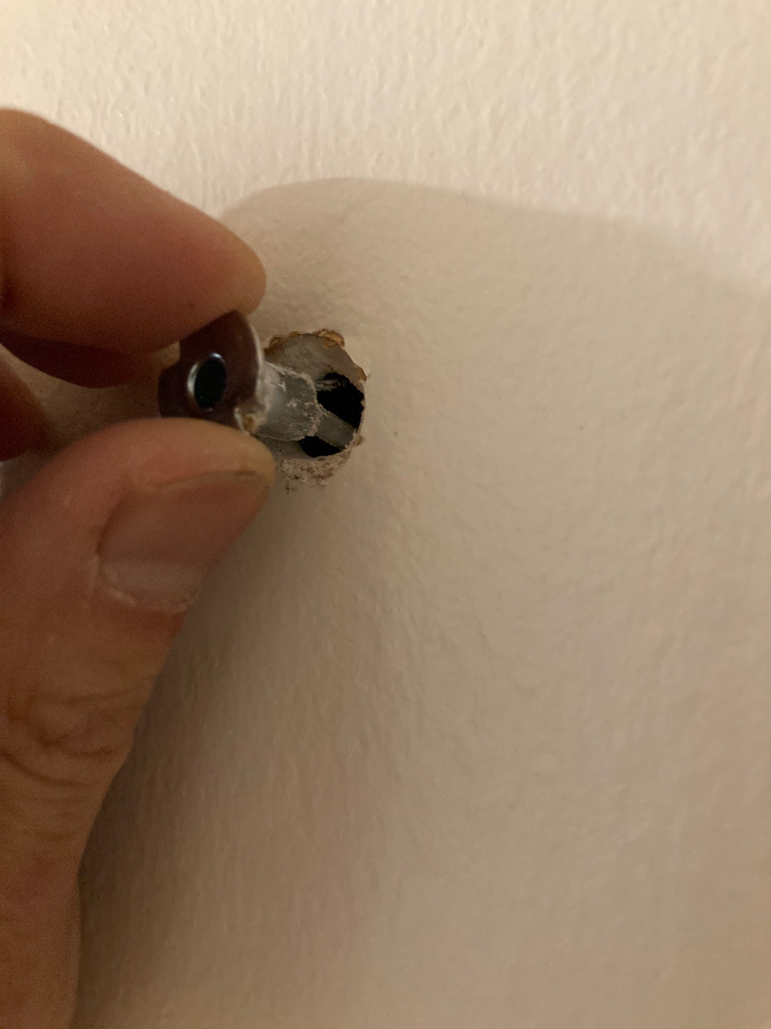 I thought this drive wall anchor wasn’t working, so I swapped it out for a toggle bolt. The toggle b