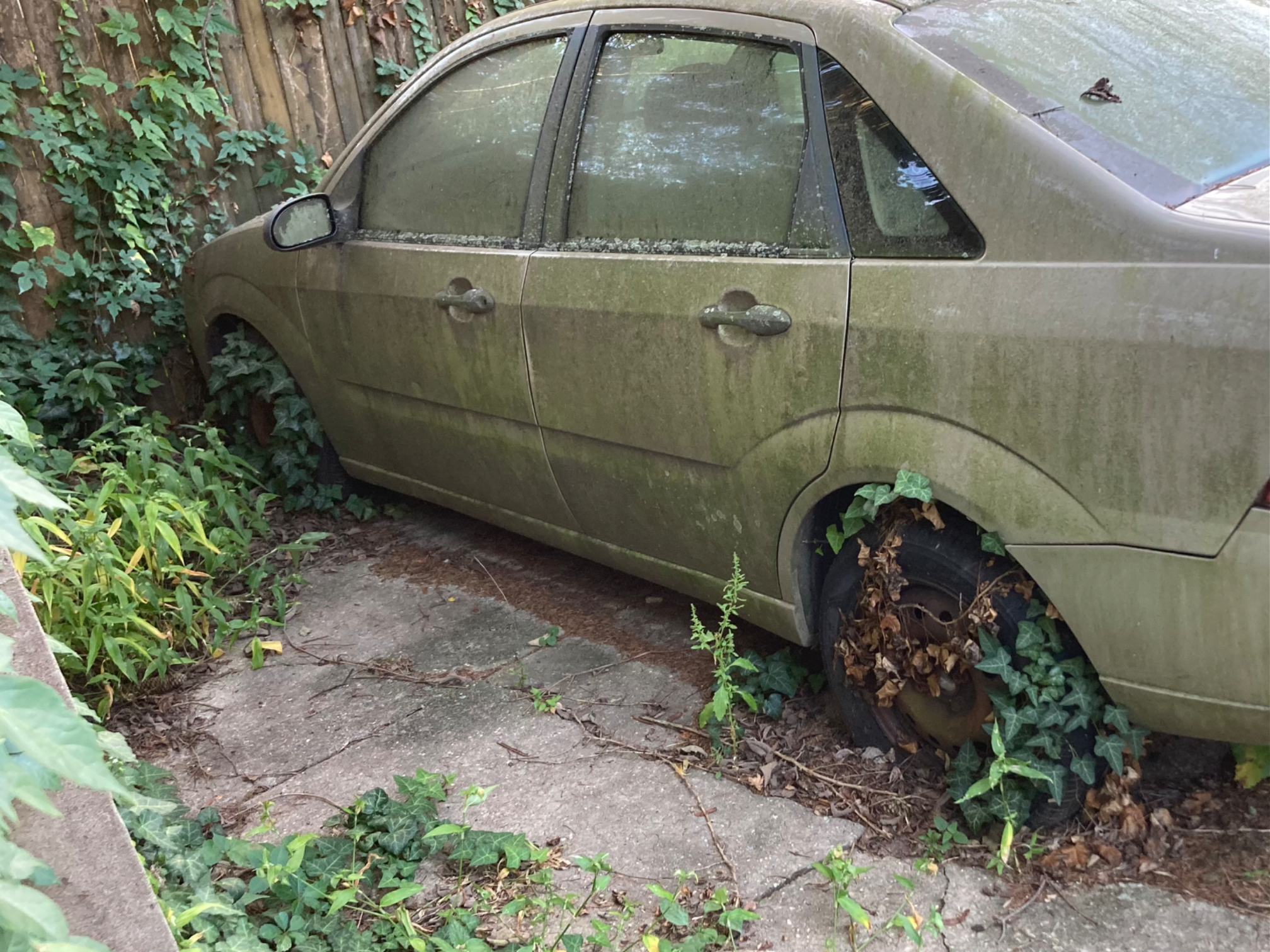 Car with ivy growing in jr
