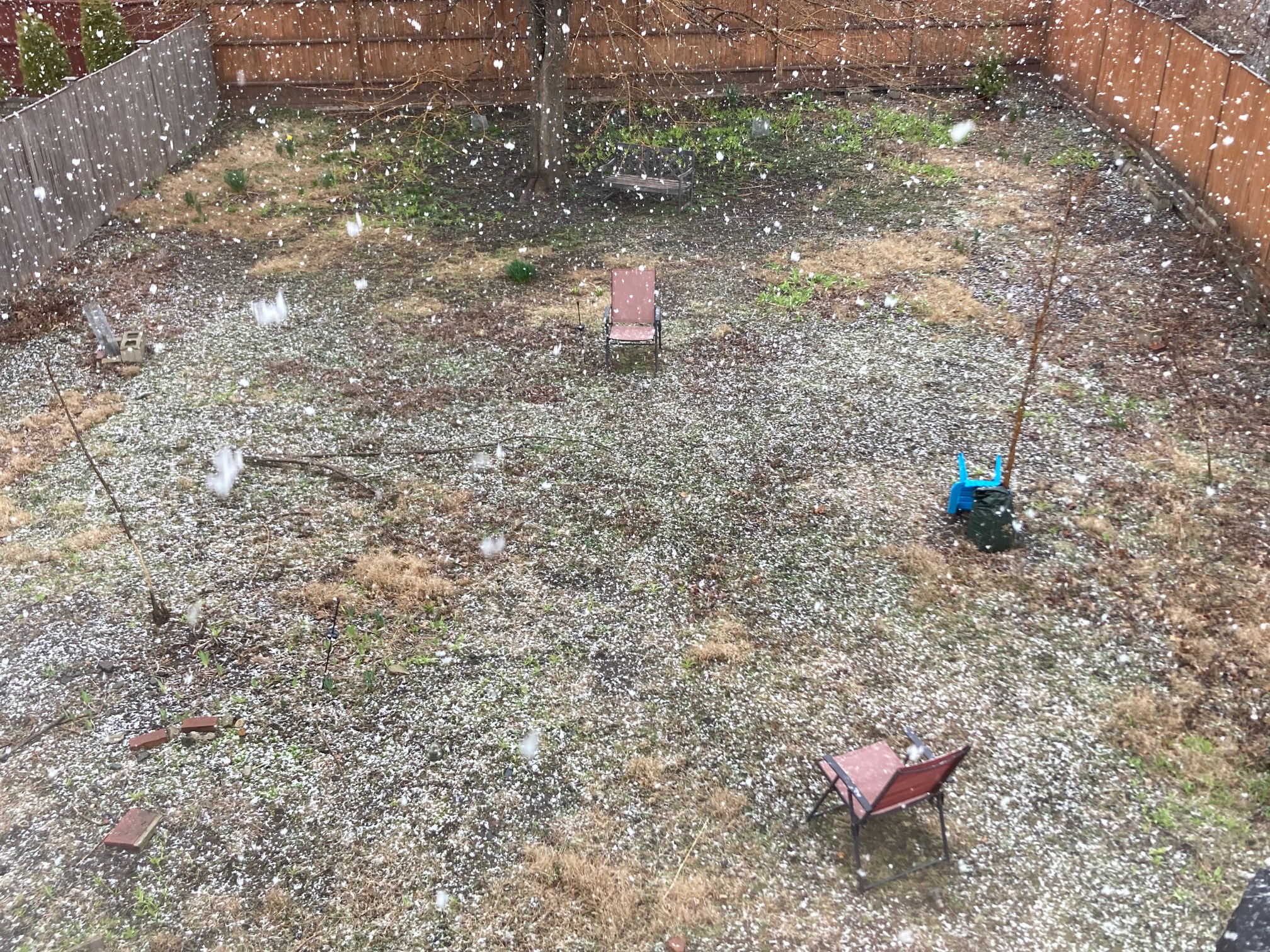 Snow falling on yard