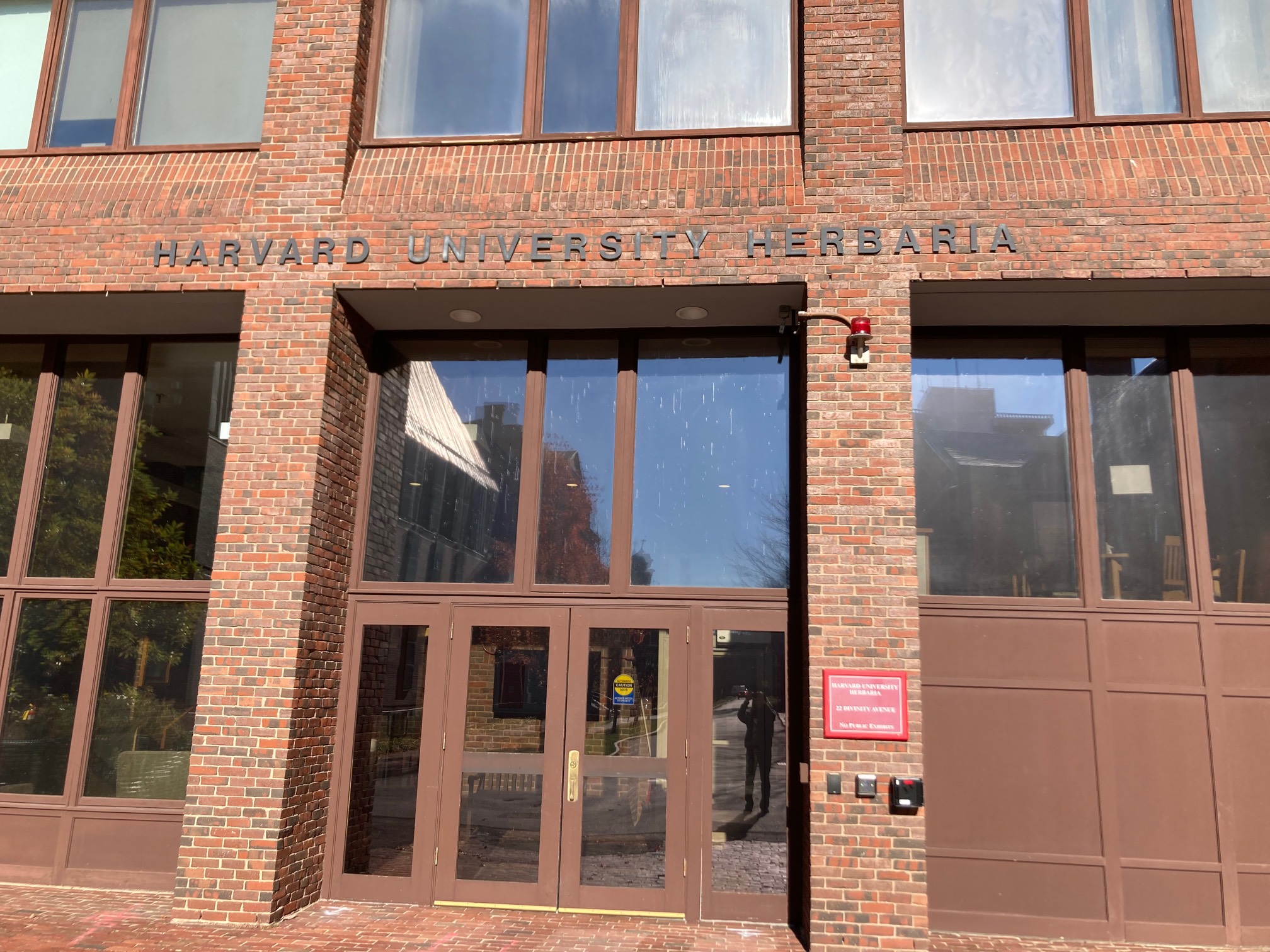Harvard University Herbaria building