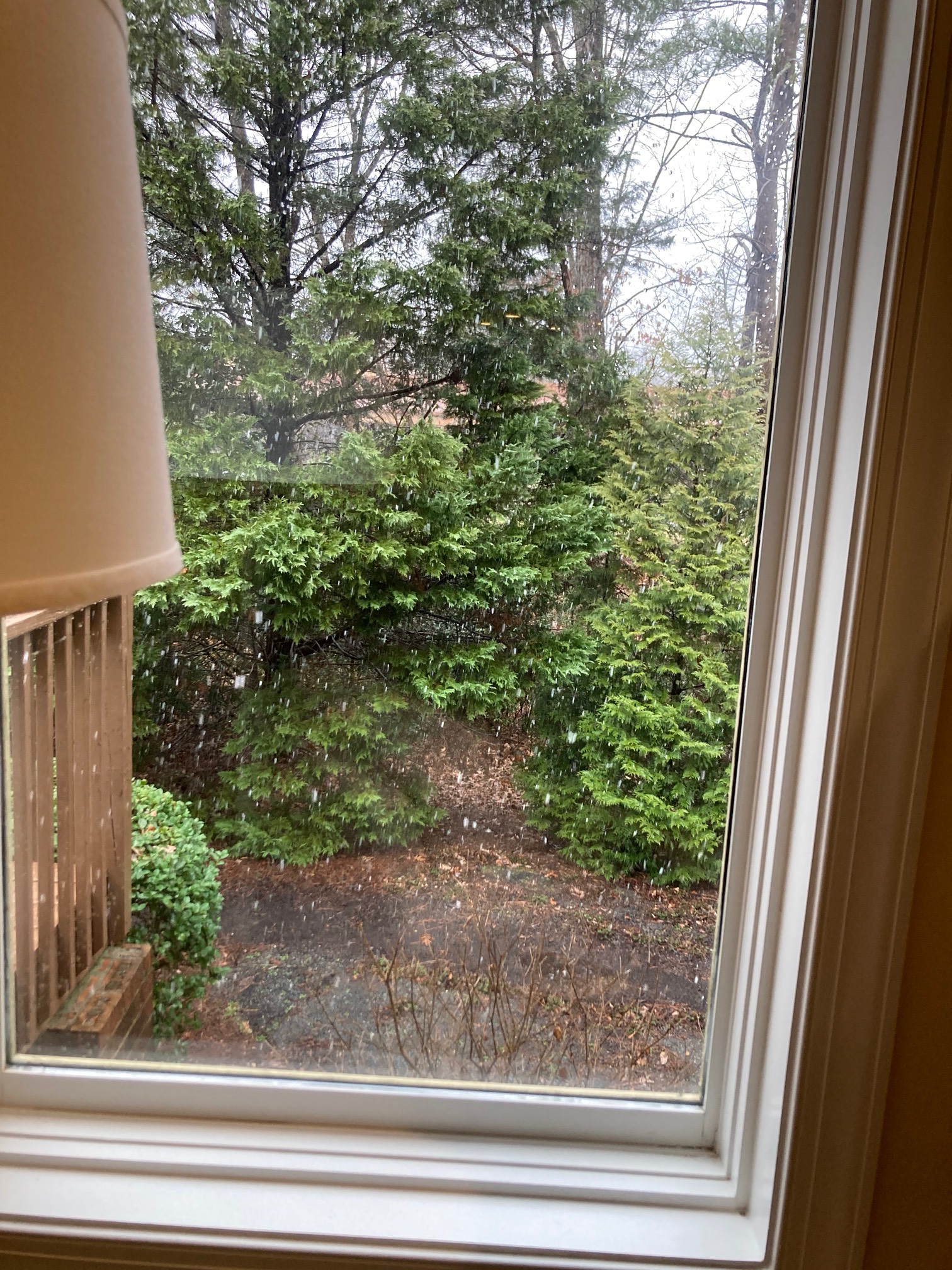 North Carolina snow. (Which won’t make survive contact with the ground.)