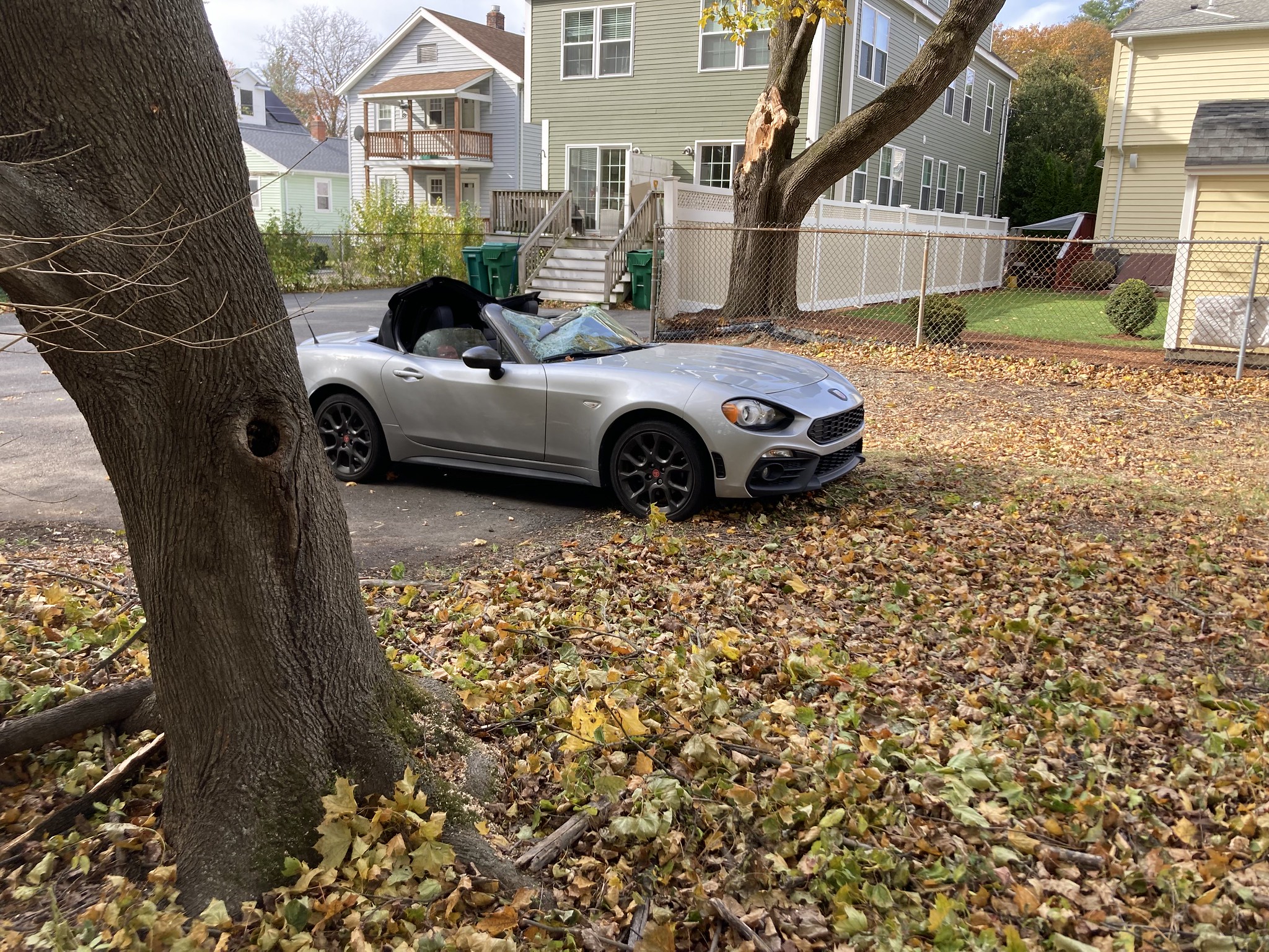 Convertible with top smashed in, tree with missing limb