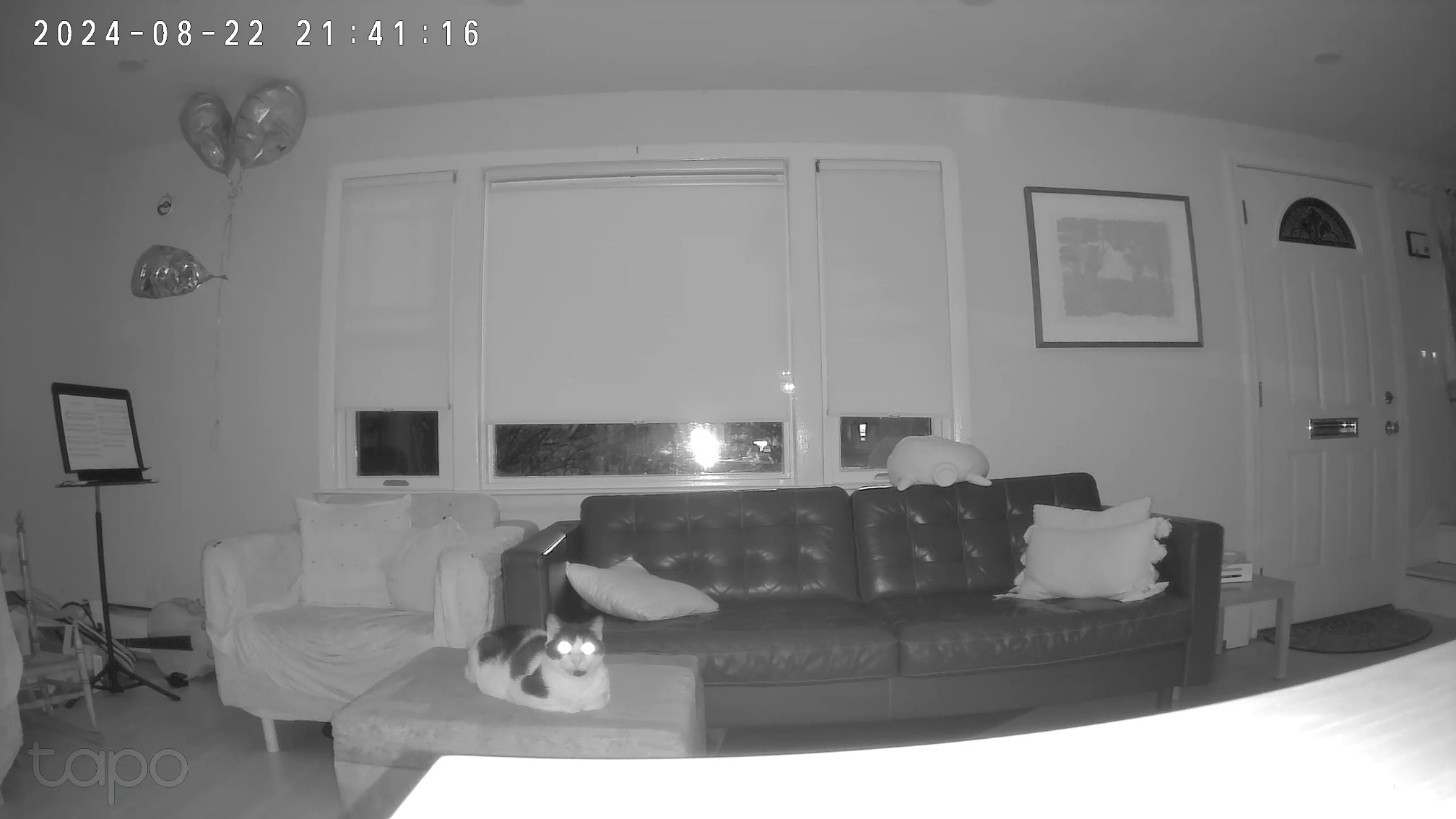 Cat on ottoman with glowing eyes