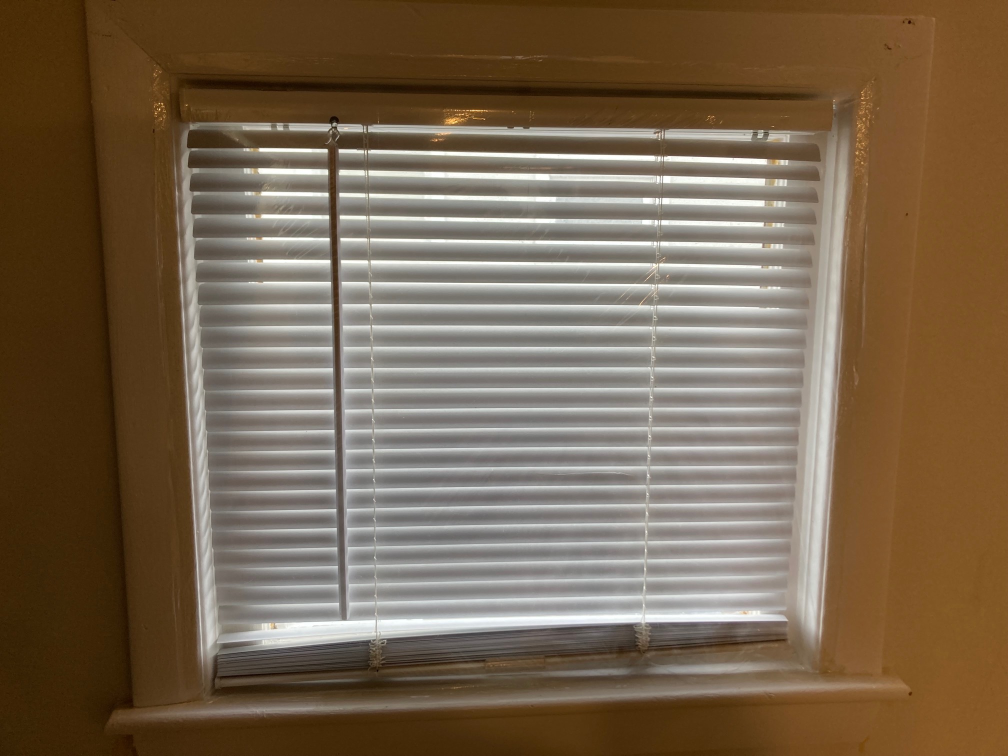 Window with blinds covered by a clear plastic sheet