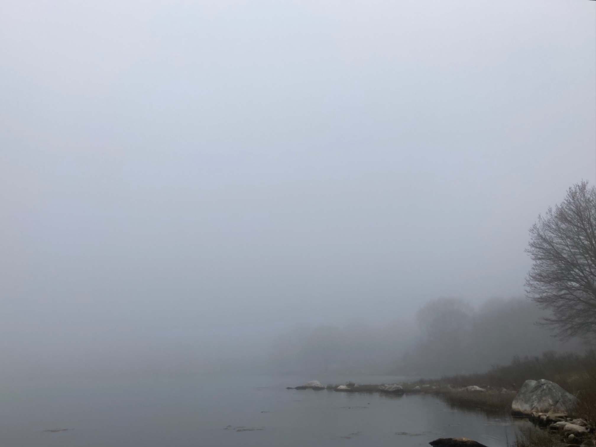 More mist