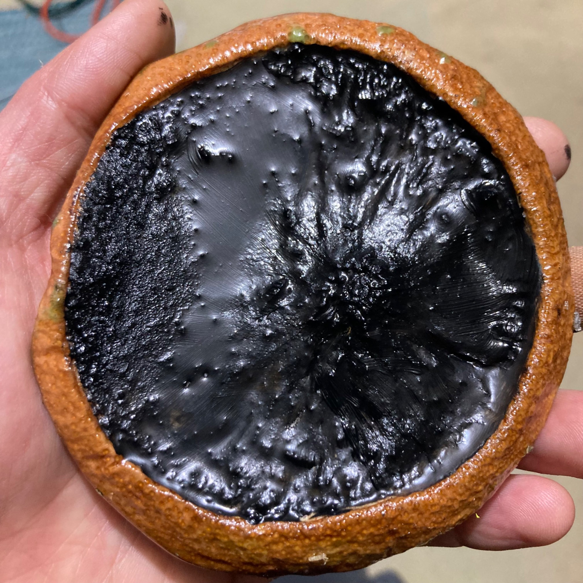 Epoxy takes paint fairly well.