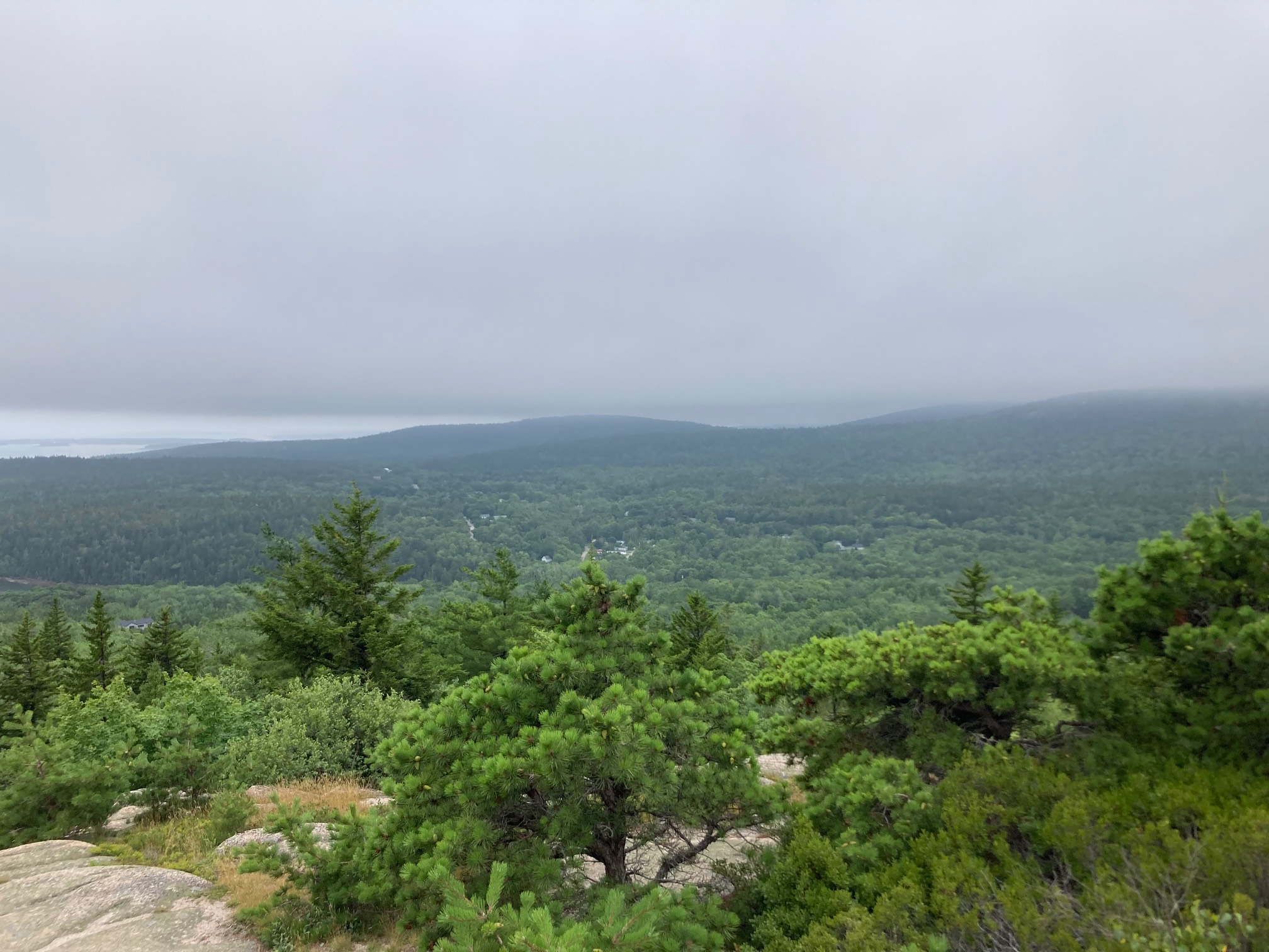 Fog, mountain, trees