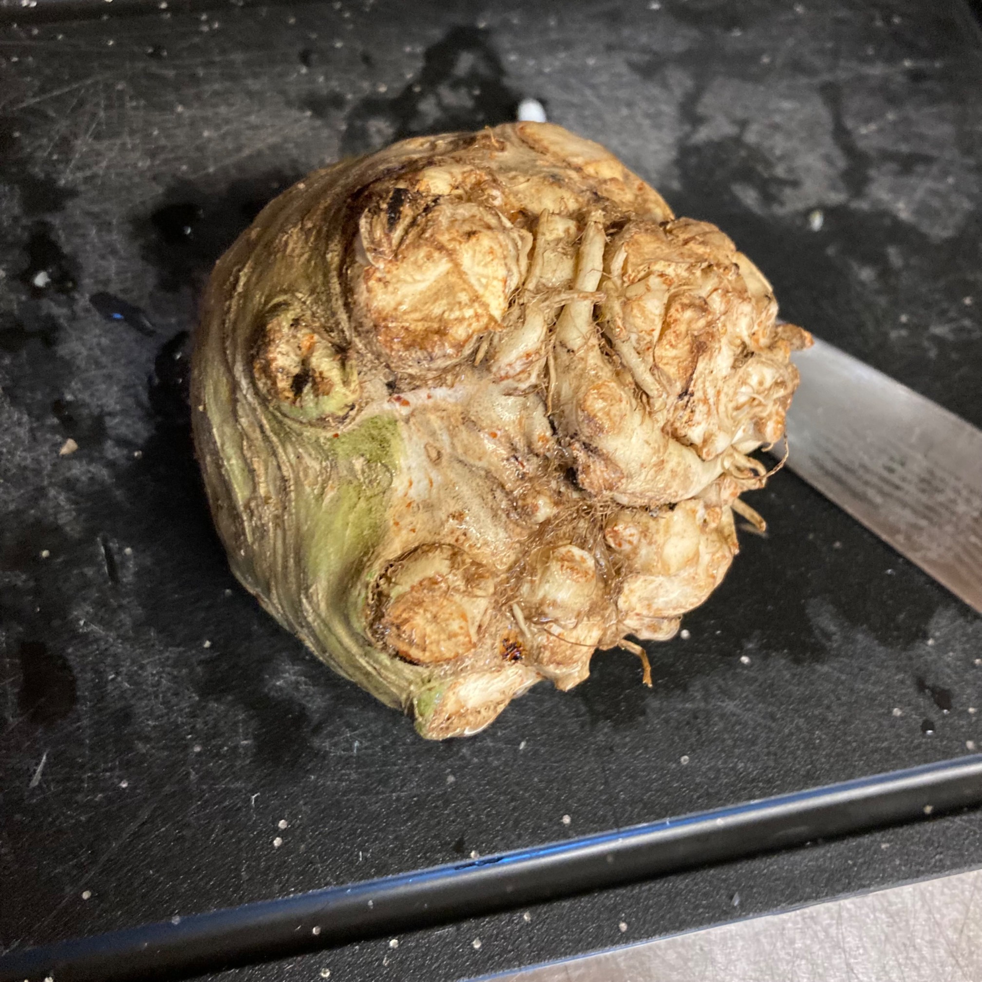 Celeriac — looks evil!
