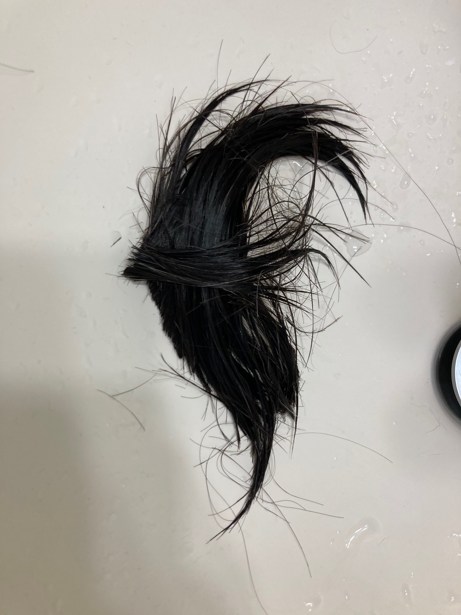 In order to make today even more interesting, I spun the self-hair-chop roulette wheel. We’ll see if
