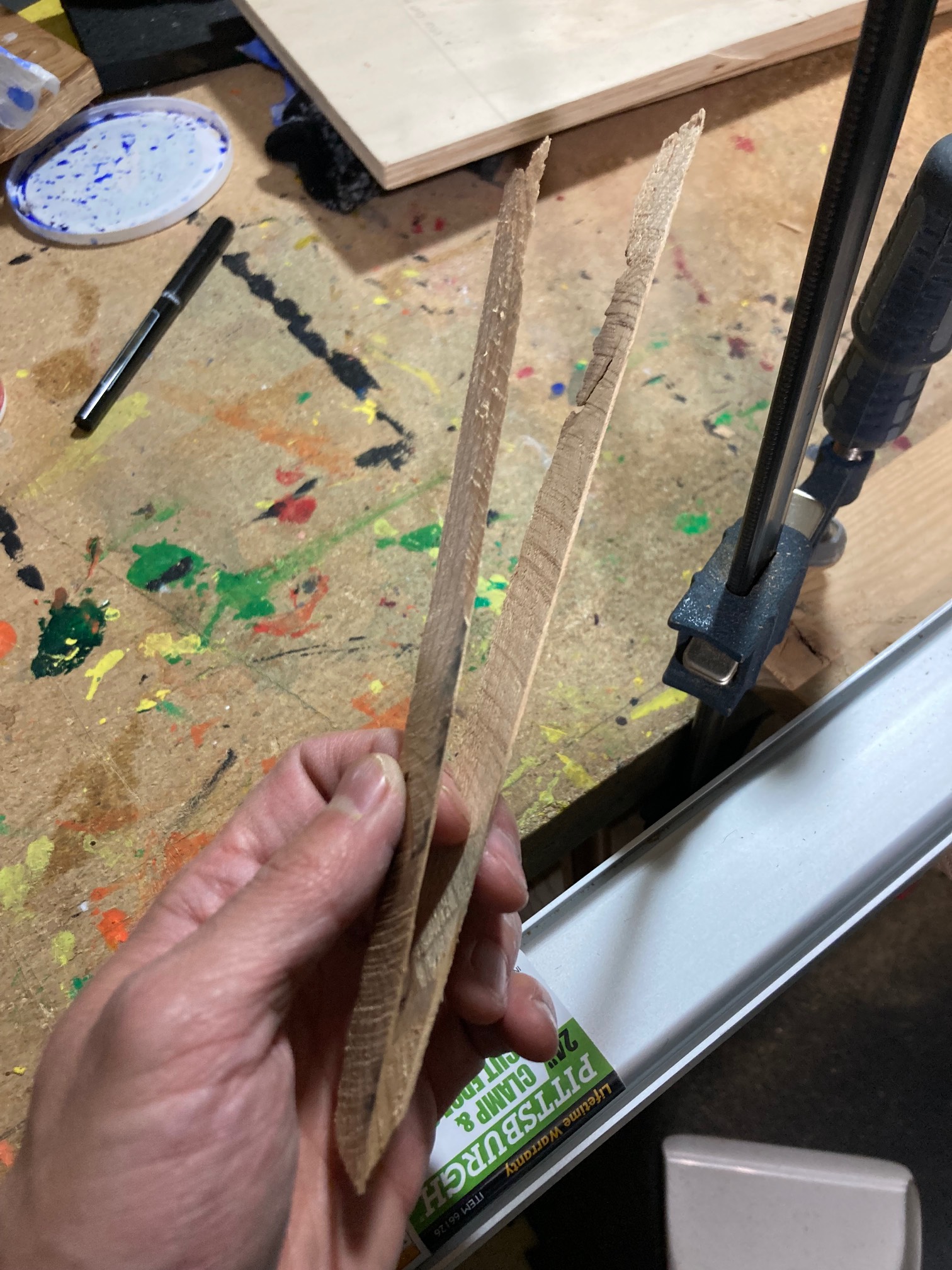 Hey, I can cut thin slices with the circular saw. I don’t know why I thought I couldn’t.