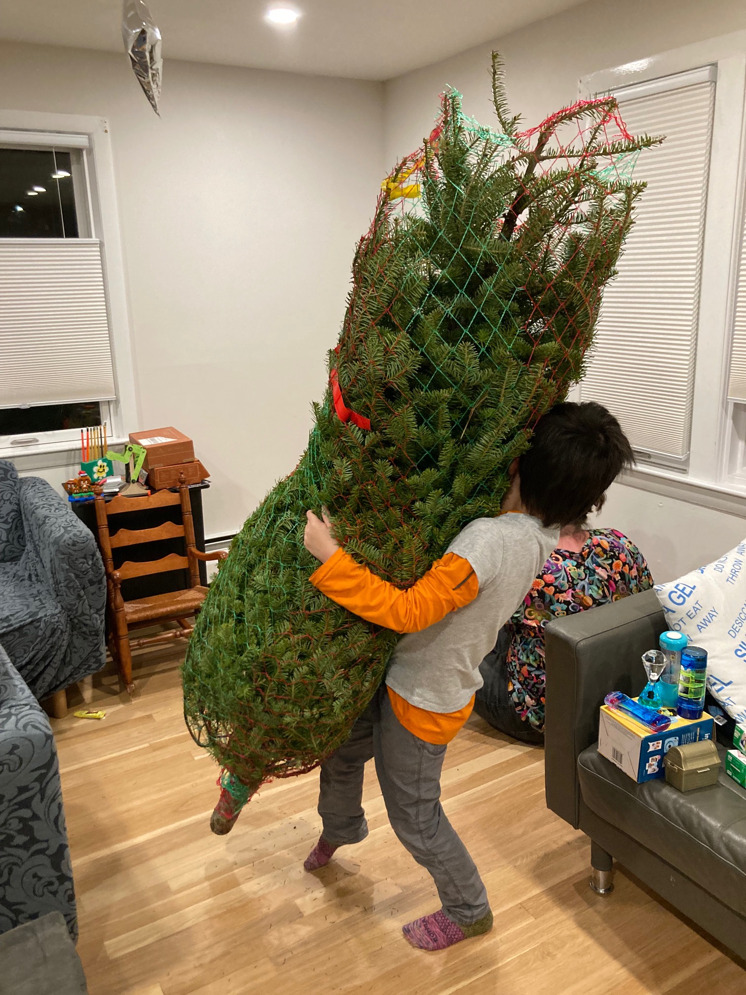 A tree liftable by a child is the right size tree.