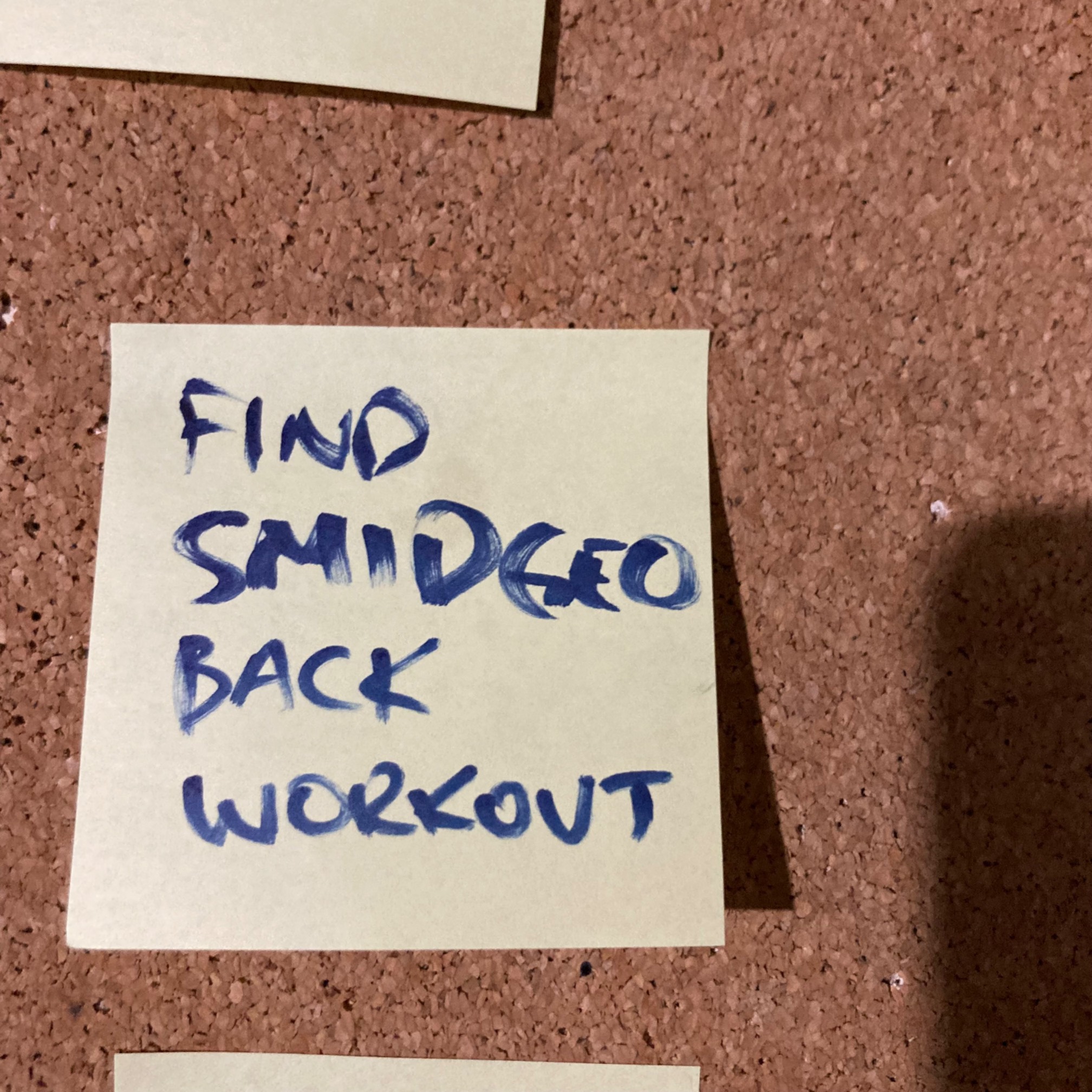 FIND SMIDGEO BACK WORKOUT