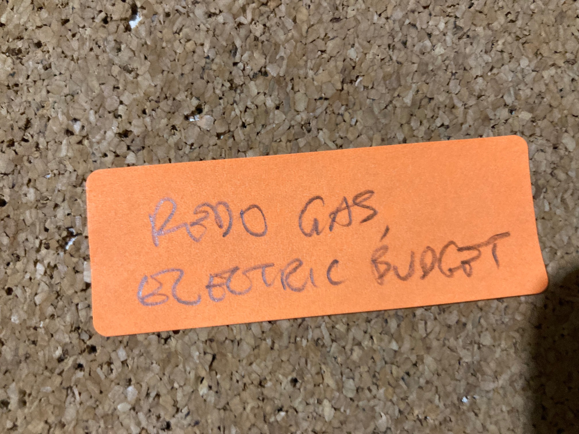 REDO GAS, ELECTRIC BUDGET